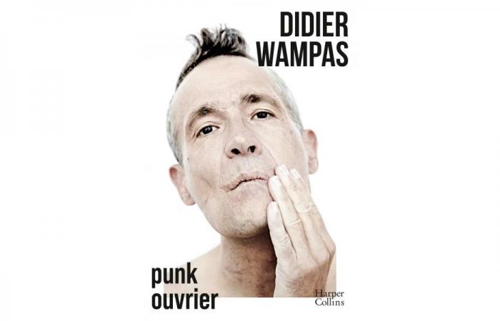 Didier Wampas, ein arbeitender Punk, der • Le Suricate eröffnet