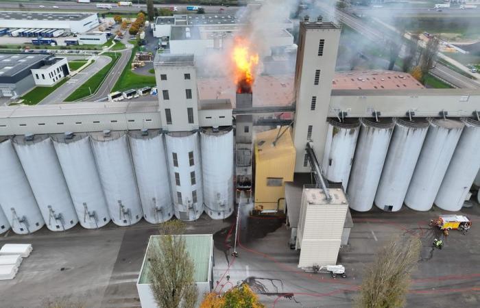 Heftiges Feuer in Sonnenblumensilos in Beaune, das Gebäude droht einzustürzen