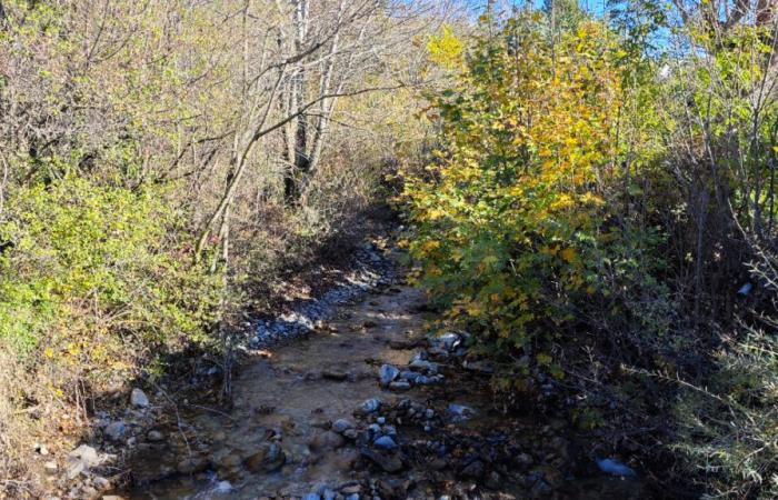 Zwei Millionen Euro zur Sicherung des Wildbachs Saint-Pancrace in La Bâtie-Neuve