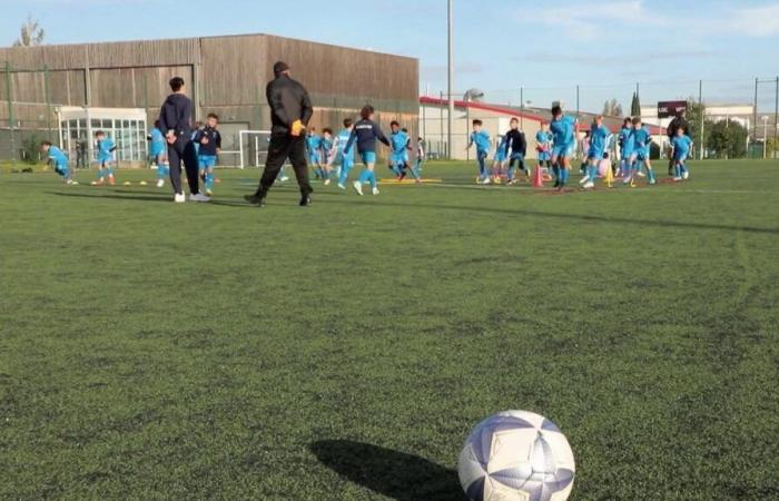 VIDEO. Wenn Eltern von Spielern kleiner Fußballvereine Pädagogen angreifen