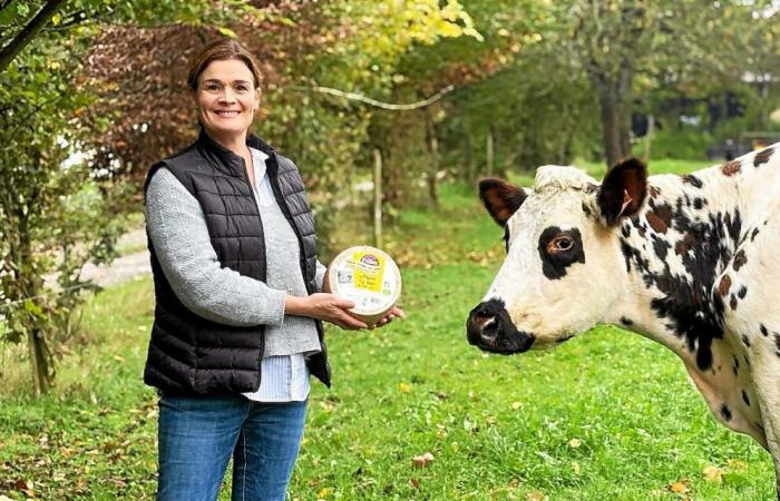 „Eine tolle Belohnung“: Sein Bauernhof in Ille-et-Vilaine ist dreifacher Medaillengewinner für seinen Rohmilchkäse