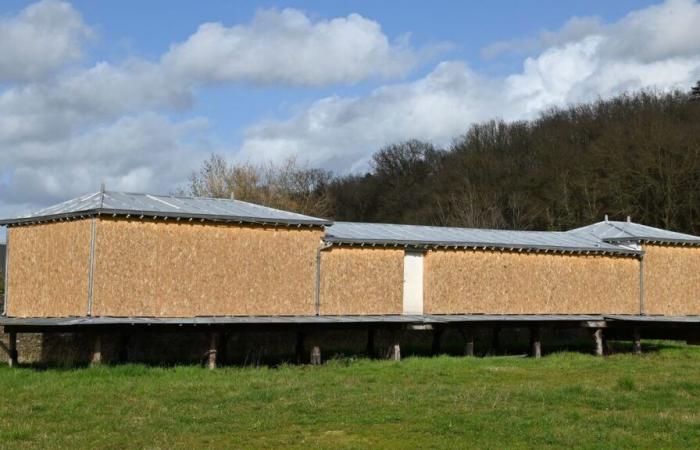 In Mayenne müssen wir eines der letzten beiden Waschboote in Europa retten