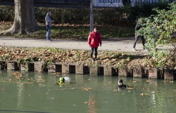 Toulouse. Aus dem Canal du Midi gefischt, ein Mann zwischen Leben und Tod