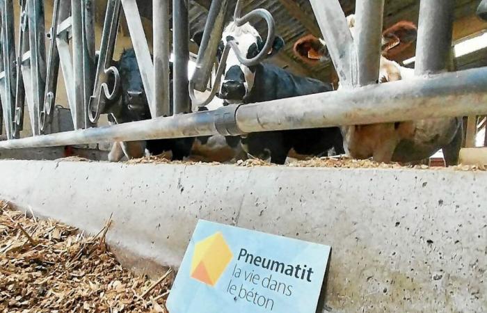 Pneumatit, der seltsame Beton „mit Lebenskräften“, der in der Bretagne auf dem Vormarsch ist