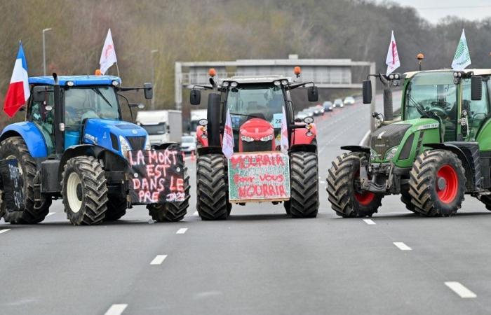 Agrarkrise: FNSEA fordert nationale Mobilisierung „ab nächstem Montag“