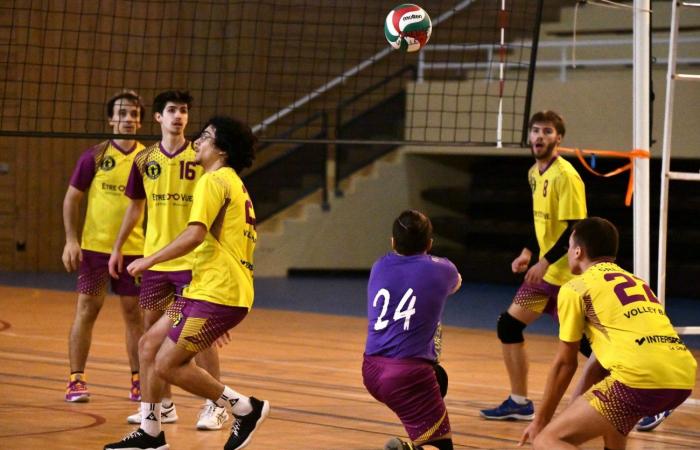 VOLLEYBALL: Ein schwieriges Wochenende für Le Creusot…