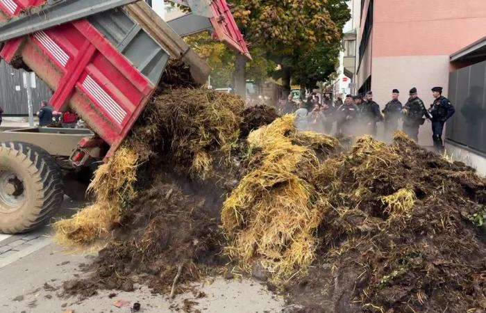 Bauern im Haut-Rhin werden ab Donnerstag Scheiterhaufen anzünden, um ihrer Not Ausdruck zu verleihen