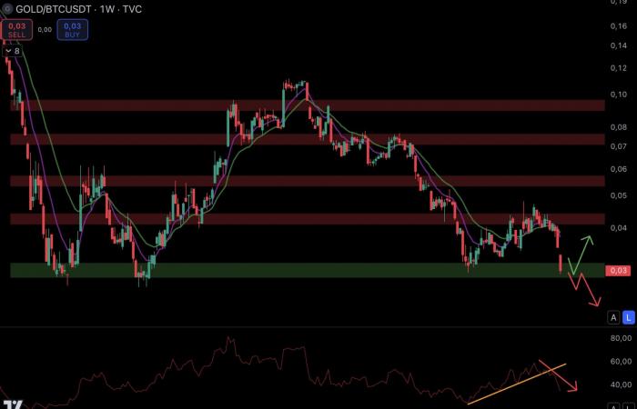 Bitcoin, Gold, der S&P 500 und der NASDAQ sind auf ihrem Höchststand – Le Point Macro