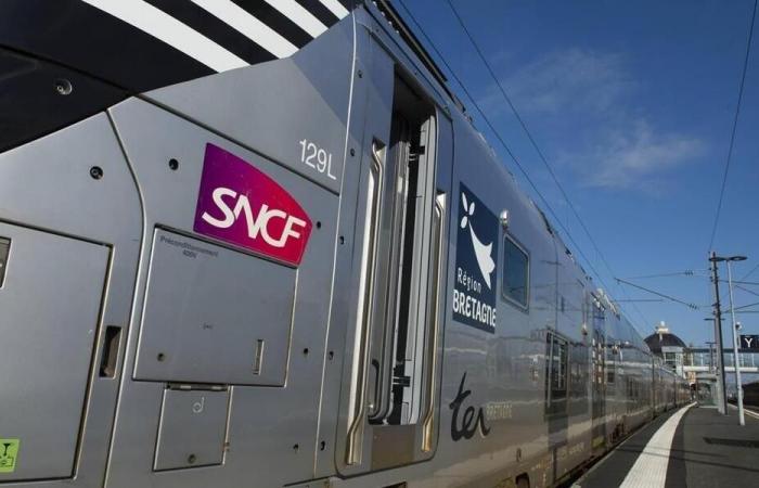 Oberleitungsbruch auf der Strecke Paris-Brest: 150 Passagiere aus einem TGV in Finistère evakuiert