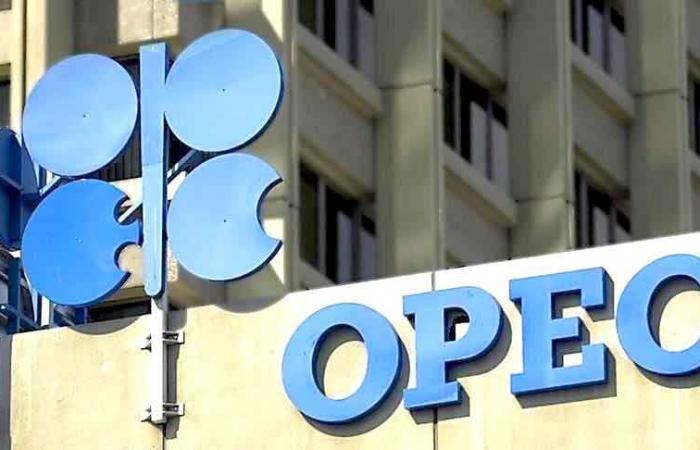 Im Monatsbericht der OPEC: Das Wachstum der Ölnachfrage wird voraussichtlich leicht sinken