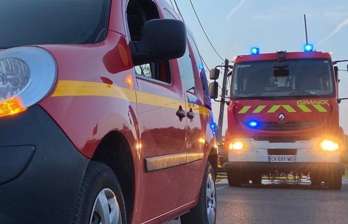 Haute-Vienne: 500 Ziegen sterben bei dem Brand auf einem Bauernhof in Rochechouart