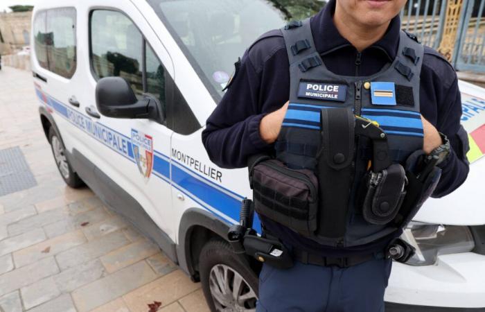 Ein Achtzigjähriger wurde entstellt und mitten auf der Straße in Montpellier zum Sterben zurückgelassen