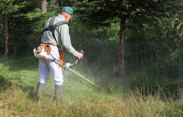 Welche 91 Gemeinden sind im Aveyron von der Rodung betroffen?