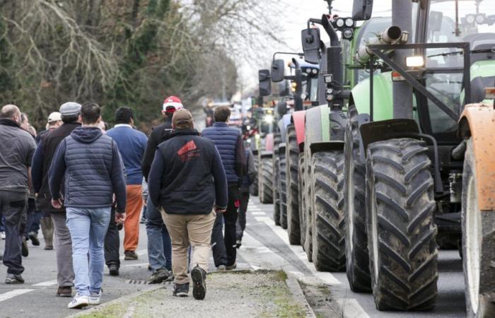 Agrargewerkschaften in Indre-et-Loire erwägen Mobilisierungen gegen das EU-Mercosur-Abkommen