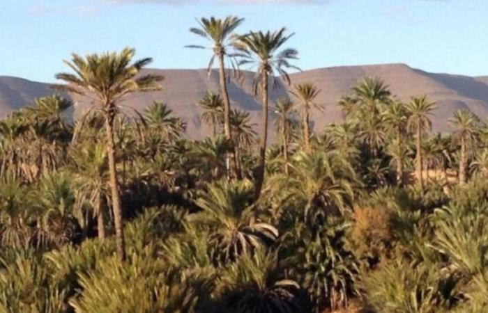 Wetterbericht. Sinkende Temperaturen und regnerisches Wetter in vielen Regionen an diesem Mittwoch, 13. November