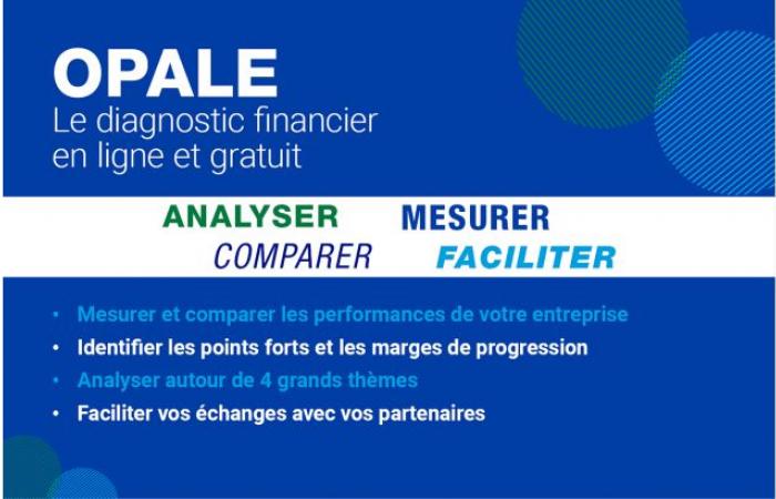 Habe geschworen. OPALE: das Tool der Banque de France, das Unternehmen in eine aufgeklärte finanzielle Zukunft führt | Wöchentlich 39