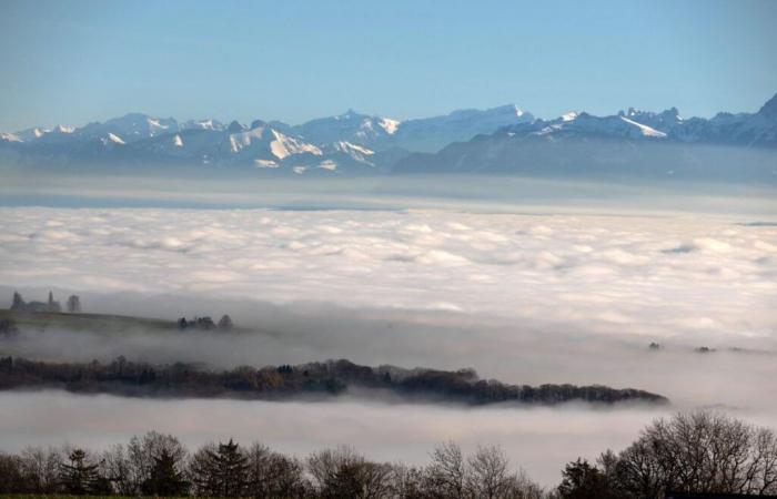 Wetter: allgegenwärtig, der Nebel hat die Oberhand gewonnen