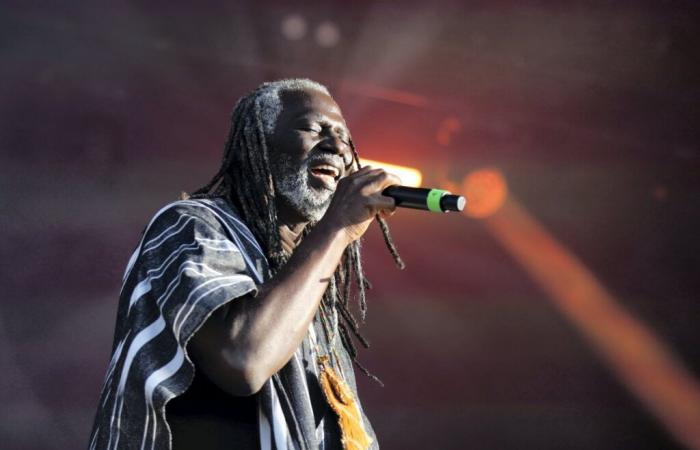 Tiken Jah Fakoly, Babylon Circus, Broussaï… Die Konzerte, die Sie beim Normandy Humanity Festival nicht verpassen sollten