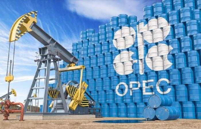 Die OPEC senkt ihre Prognose für die weltweite Ölnachfrage