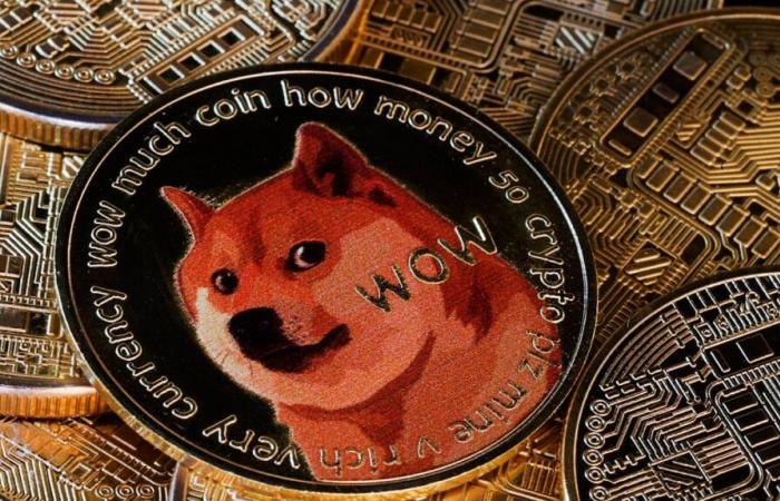 Wird der Dogecoin-Preis durch Elon Musks neuen Job steigen?