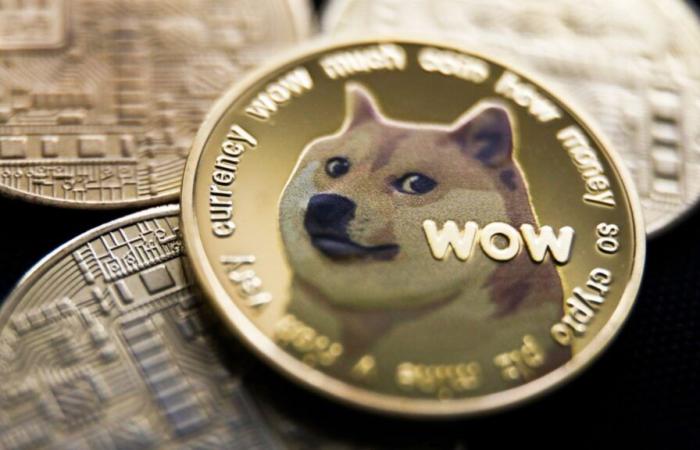 Elon Musks Geschichte mit dem „Doge“-Meme