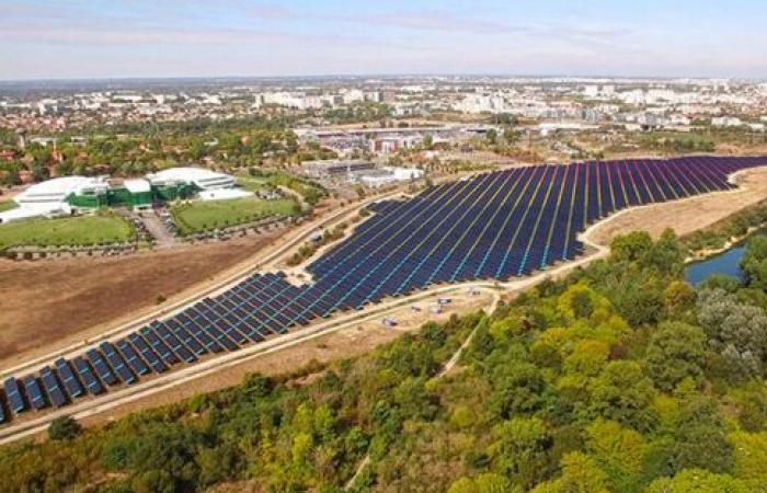 Ausschreibung für Freiflächensolaranlagen: Neoen liegt vorne, Preise fallen