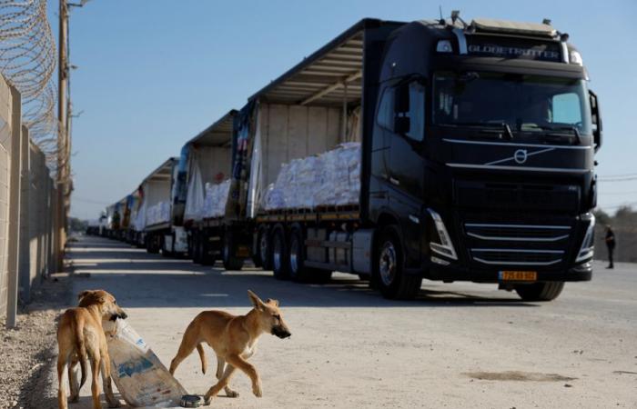 Gazastreifen | Warum humanitäre Hilfe hereinströmt