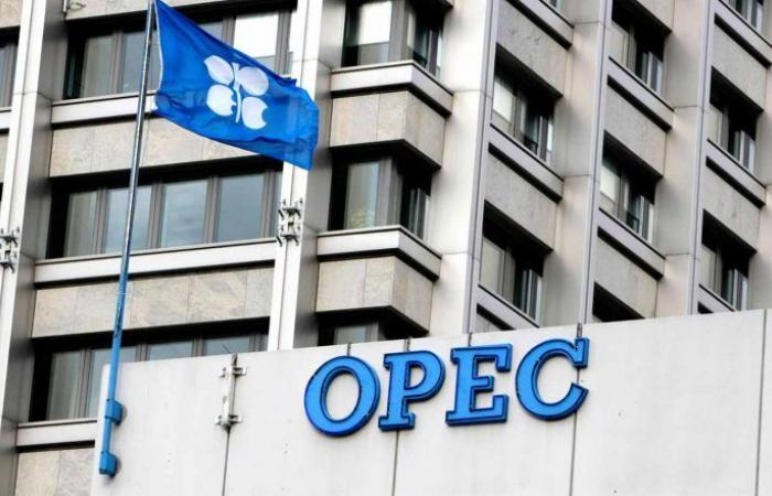 Die OPEC korrigiert ihre Wachstumsprognosen nach unten