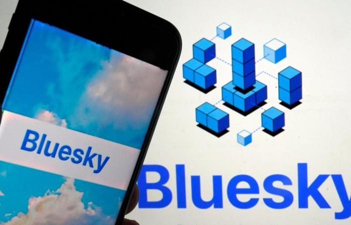 Bluesky gewinnt nach der US-Wahl 1 Million Nutzer hinzu, da die Nutzer X | aufgeben Soziale Medien