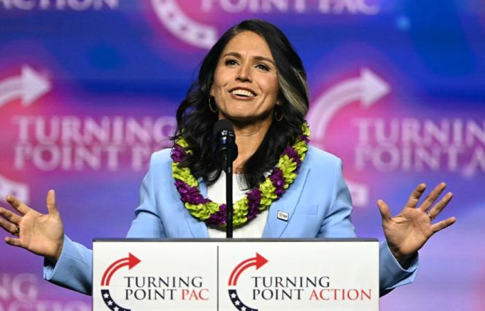 Trump wählt Tulsi Gabbard zur Direktorin des Nationalen Geheimdienstes