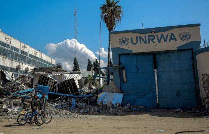 in Gaza die Wut und Empörung eines UNRWA-Beamten