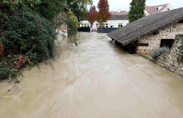 Schäden am Haus von Raymond Devos in Frankreich: Ein außergewöhnlicher Spendenaufruf wird gestartet