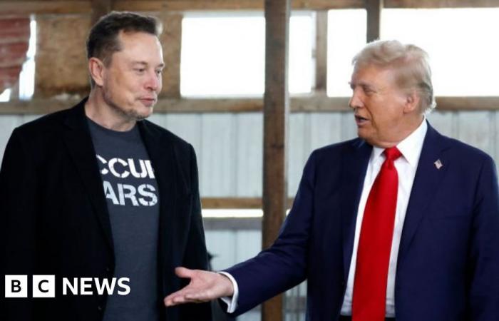 Trump wählt Elon Musk als Berater für den „Abbau“ der Bürokratie