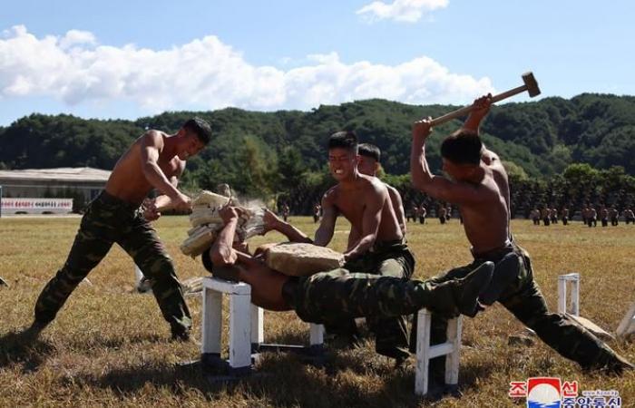 An der russisch-ukrainischen Front kommt es zur Feuerprobe der nordkoreanischen Armee