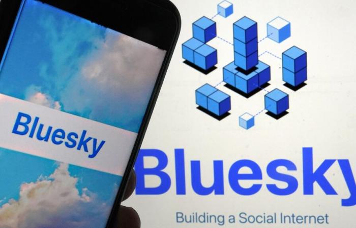 Alternative zu X: Bluesky hat seit der US-Wahl 1 Million Nutzer gewonnen