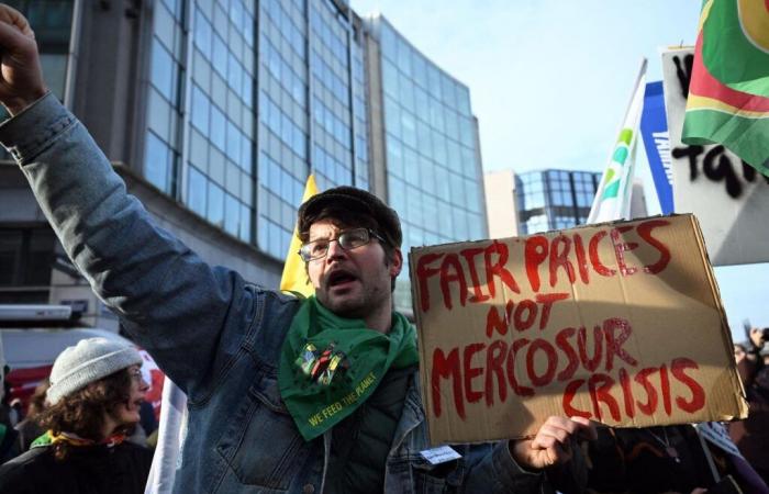 In Brüssel sagt Frankreich „Nein“ zum Freihandel mit dem Mercosur