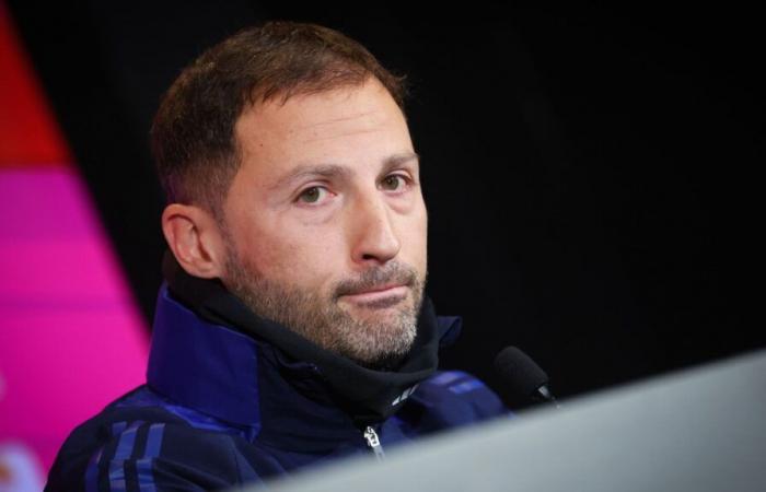 Domenico Tedesco vor Belgien – Italien: „So eine Situation habe ich noch nie erlebt!“