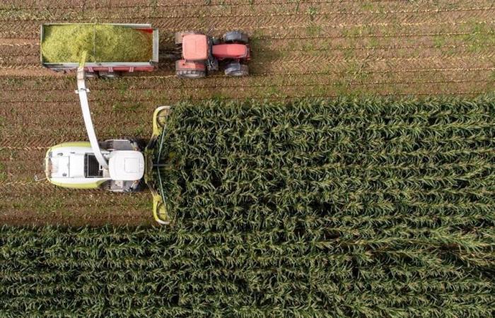 GPS-Diebstähle in der Landwirtschaft in Maine-et-Loire: Sein Telefon war auf die Zielfarmen beschränkt