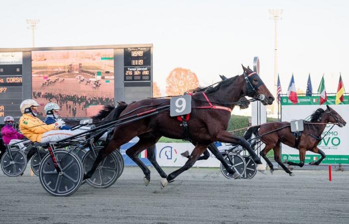 Prix ​​​​Pierre Plazen und Guy Deloison: Ungleich Frankreich