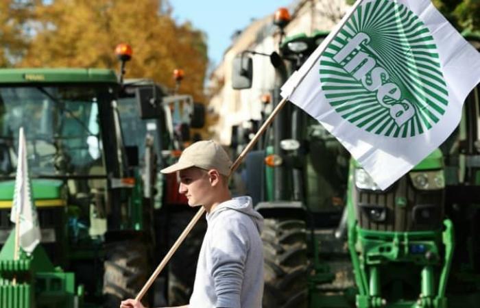 Der Präsident der FNSEA fordert eine nationale Mobilisierung „ab Montag“