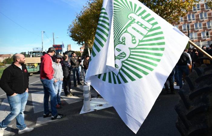 „Unsere Gewerkschaft ist im Gegensatz zu unseren Konkurrenten unpolitisch“… FDSEA 47 startet ins Rennen um die Landwirtschaftskammer