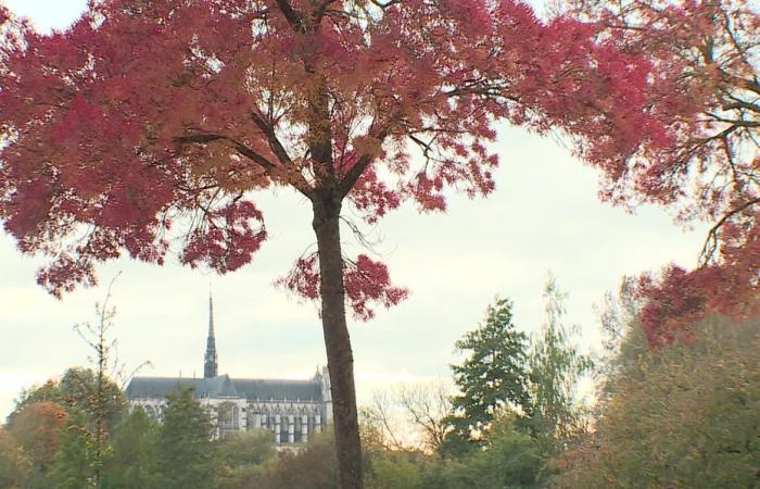 Wetterbericht. Wie ist das Wetter an diesem Mittwoch, dem 13. November in Hauts-de-France?