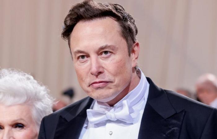 Elon Musk greift Franzosen nach Ausschreitungen brutal an: „Es ist ein Sakrileg“