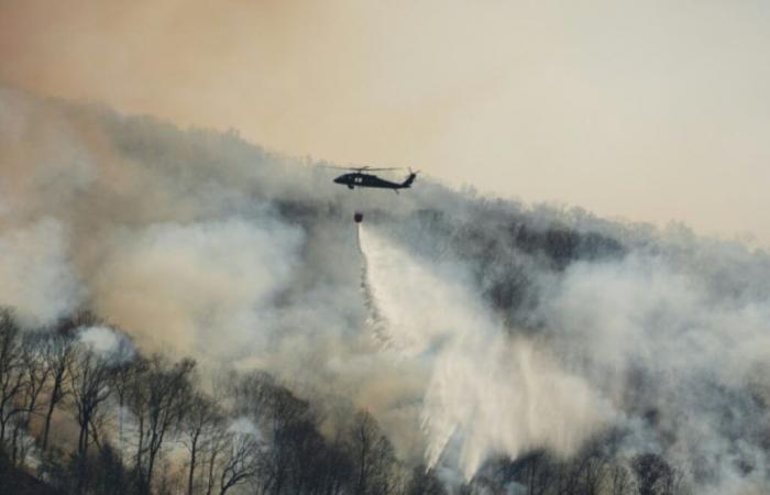 Mehr Brände, weniger Wasser: Die Region New York leidet unter schwerer Dürre