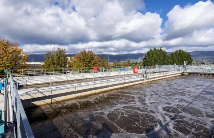 Start eines Pilotprojekts zur Wiederverwendung von aufbereitetem Abwasser in Yverdon – rts.ch