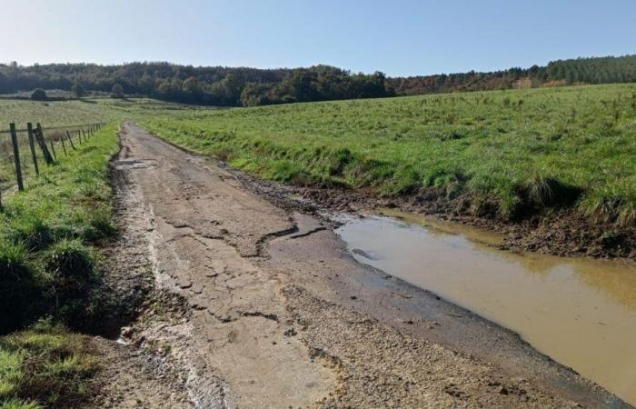 Einwohner der Dordogne beklagen den Zustand der Straße, die durch die Lieferung tonnenweise Karotten beschädigt wurde