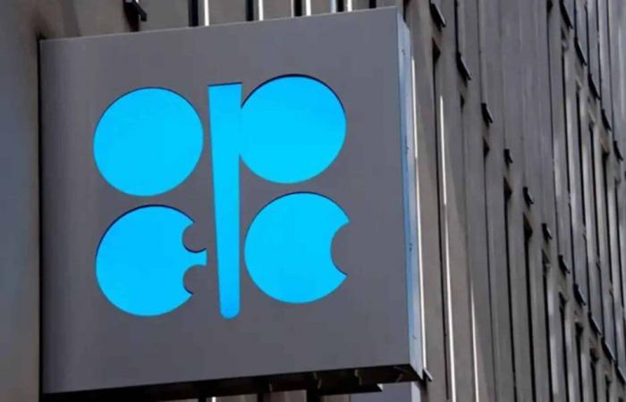 Die OPEC senkt ihre Nachfrageprognosen für 2024 und 2025, die Preise belasteten dennoch