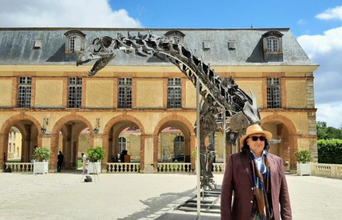 Vulcain, der Dinosaurier aller Rekorde, wird in Yvelines verkauft