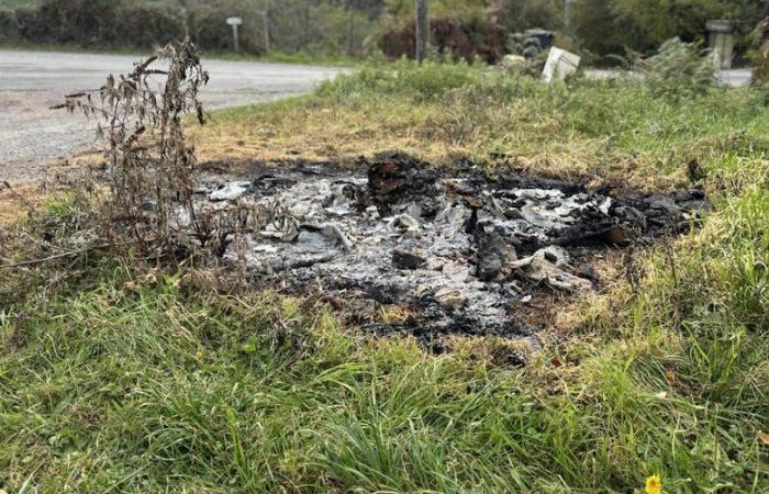 „Es wird schmerzhaft“: Das Rathaus wird nach dem Toilettenbrand auf dem Weg nach Santiago de Compostela Maßnahmen gegen Unhöflichkeit ergreifen