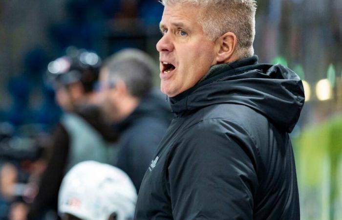 Eishockey: HCC lässt Freiberge aus dem Pokal aus, Sierre wird von GC geschlagen